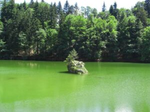 Guenes-wasser-berglsteinersee.jpg